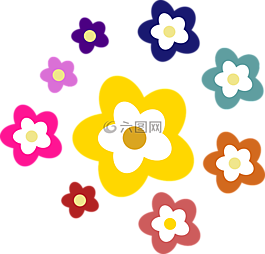 鲜花,雏菊,装饰