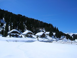 雪,冬季,冬季的心情