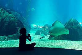 海洋水族馆,水族馆,里斯本