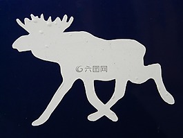穆斯,驯鹿,滑稽