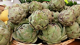 洋蓟,蔬菜,生物
