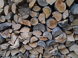 木材,木桩,燃料