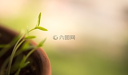 未来,背景,模糊