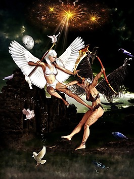 仙女,翅膀,工作人员
