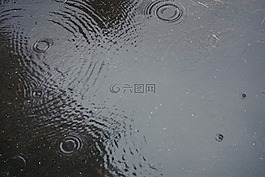 水,水坑,出