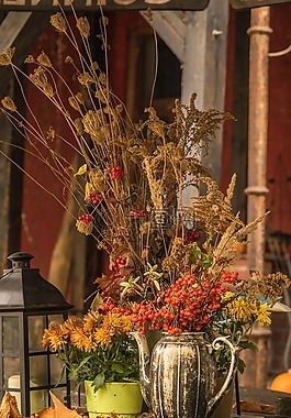 斯特劳斯,静物,盛开