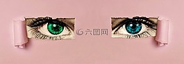 眼睛,看看,双色彩