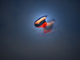 天空,自由,蓝光