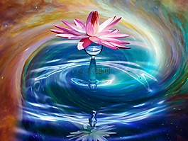 模糊,花,绿色