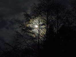 月球,在晚上,月光