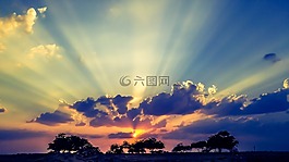 太阳,日落,丛林