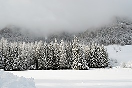 冬天,现场,山