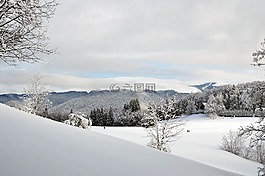 冬天,现场,山