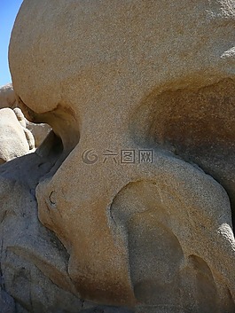 洛基,头骨,自然