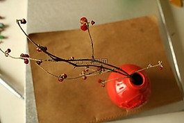 插花,干花,居家