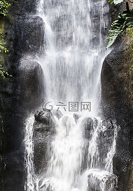 水,大瀑布,丛林