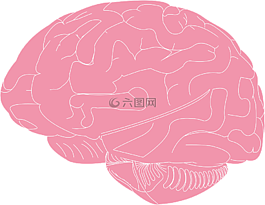 大脑,科学