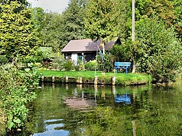 spreewald,深度,水