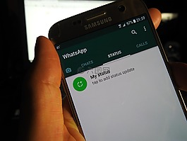 whatsapp的,电话,移动