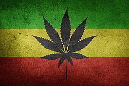大麻,杂草,药物