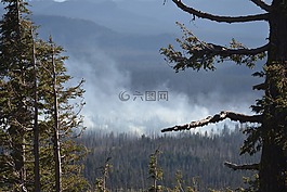 野火烧不尽,森林火灾,俄勒冈