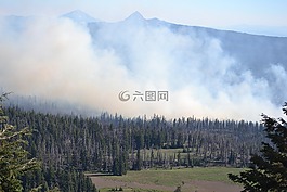 野火,森林火灾,火