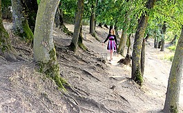 女孩,森林,小精灵