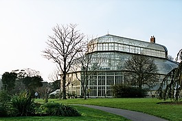 温室,植物园,植物