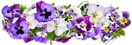 鲜花,装饰,线的花