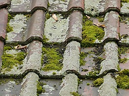 屋顶,屋顶瓦,老