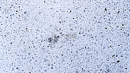 背景,地板,墙上