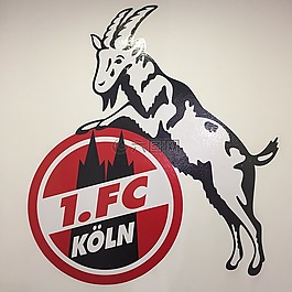 fc科隆,德甲,标志