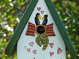 鸟舍,鸟进纸器,喂养