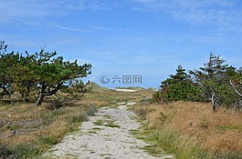 丹麦,特兰西,胡斯比klitplantage