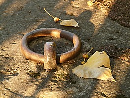 金属环,环,金属