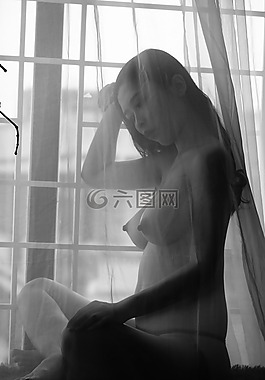 百叶窗,黑与白,窗口