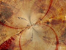 圣经 》,本书,老