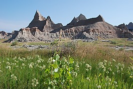 荒芜之地,景观,风景