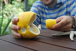 pacman,吃豆人,视频游戏
