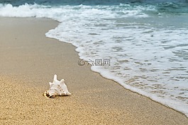 底,海滩,很好