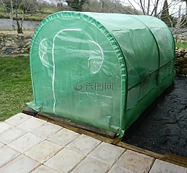 温室,外观,植物