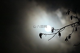 满月,让,云