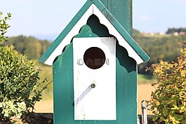 鸟进纸器,鸟,鸟舍