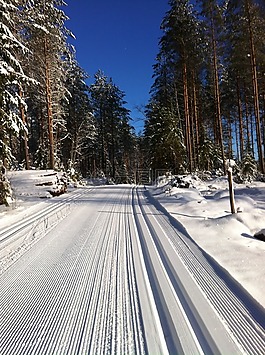 越野踪迹,越野滑雪,雪