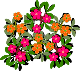 剪贴画,弗洛尔,植物区系