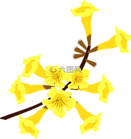剪贴画,弗洛尔,植物区系
