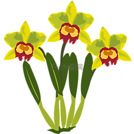 剪贴画,弗洛尔,植物区系