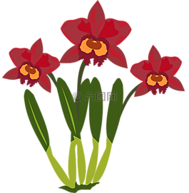 剪贴画,弗洛尔,植物区系