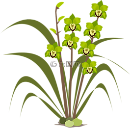剪贴画,弗洛尔,植物区系