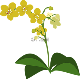 剪贴画,弗洛尔,植物区系